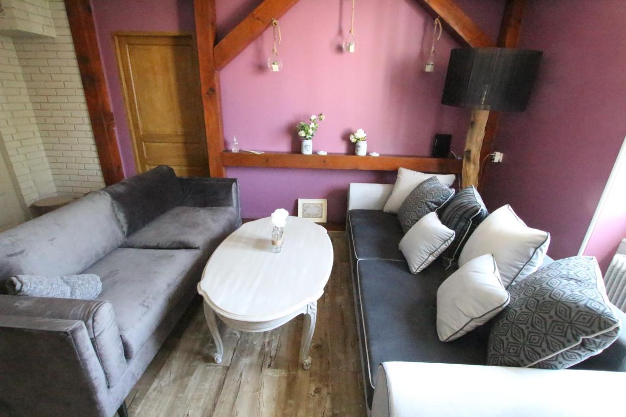 Colmar City Center - Apartment Duplex Marigny - Bookingalsace Dış mekan fotoğraf